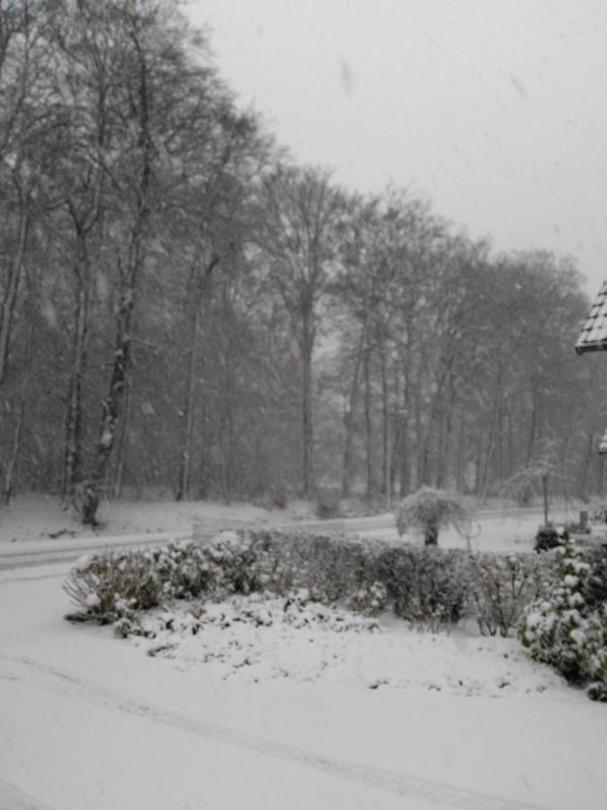 Anna'S B&B Rijssen Luaran gambar